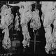 Illustration for article titled Utterly Disturbing, Century-Old Photos of Meat-Packing Facilities